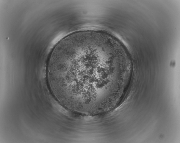 X0000091371459200708101522