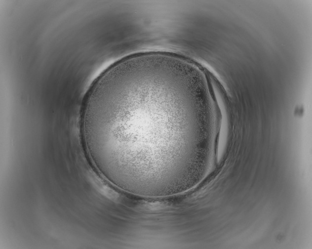 X0000091371460200708101522
