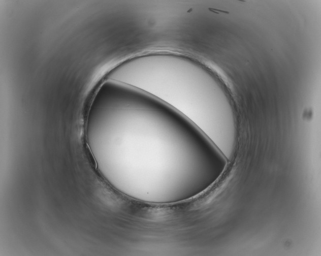 X0000091371461200708101522