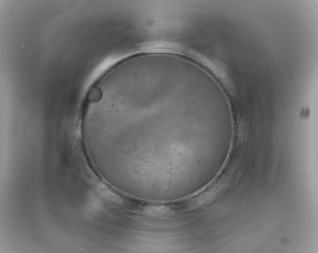 X0000091371462200708101522