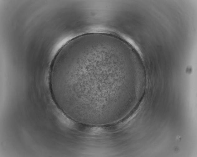 X0000091371463200708101522