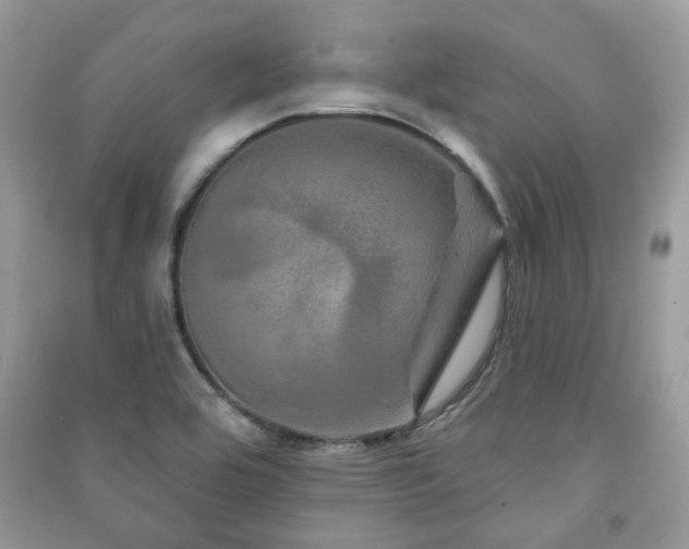 X0000091371464200708101522