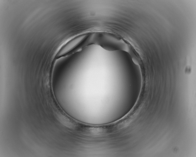 X0000091371465200708101522