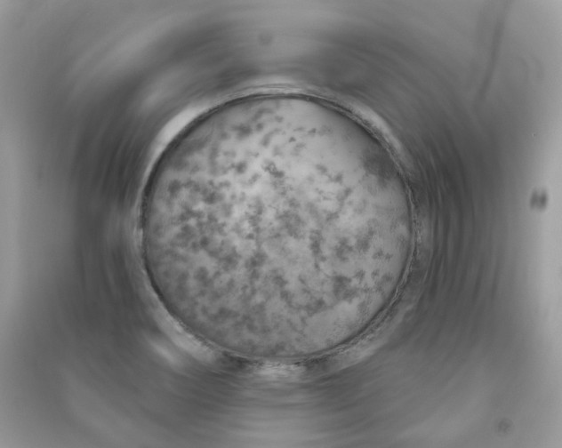 X0000091371466200708101522