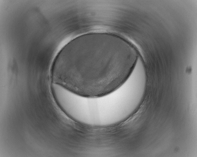 X0000091371467200708101522