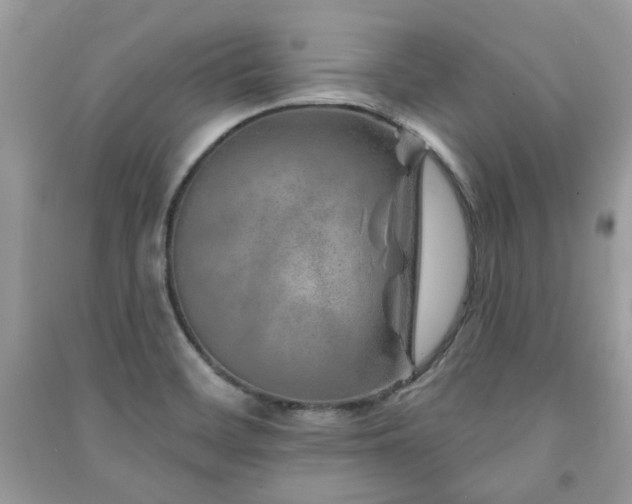 X0000091371468200708101522