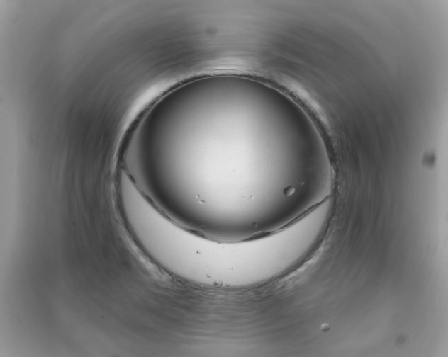 X0000091371469200708101522