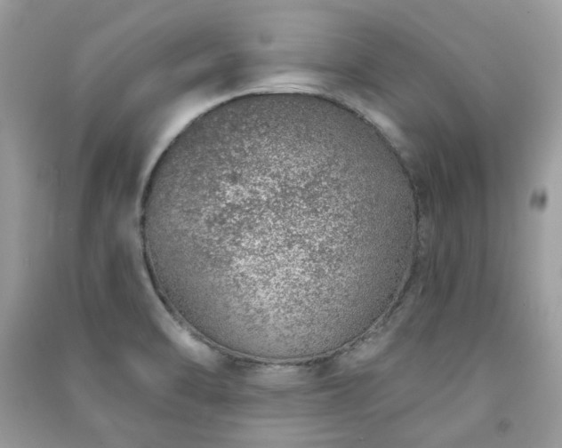 X0000091371470200708101522