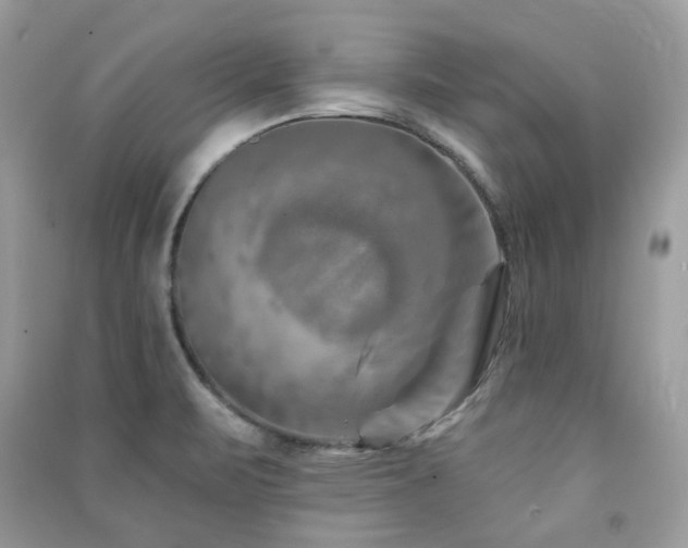 X0000091371471200708101522