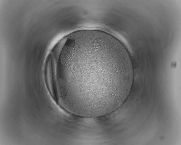 X0000091371472200708101522