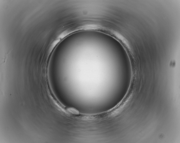 X0000091371473200708101522