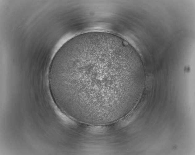 X0000091371474200708101522