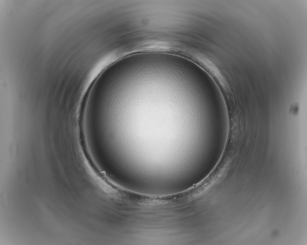 X0000091371475200708101522