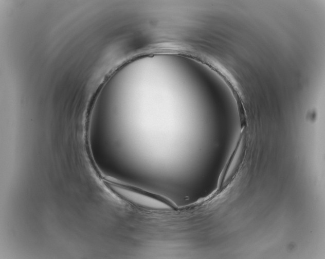 X0000091371477200708101522