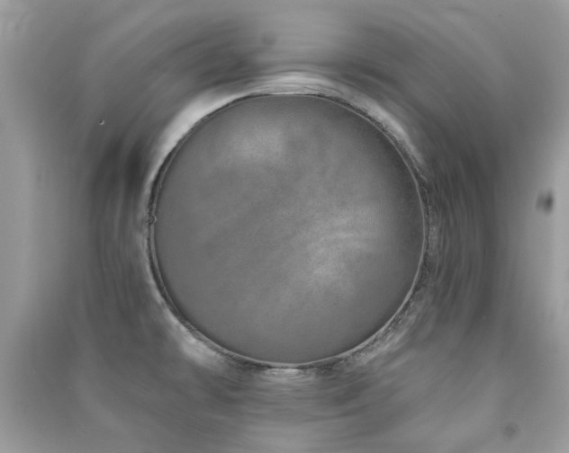 X0000091371478200708101522