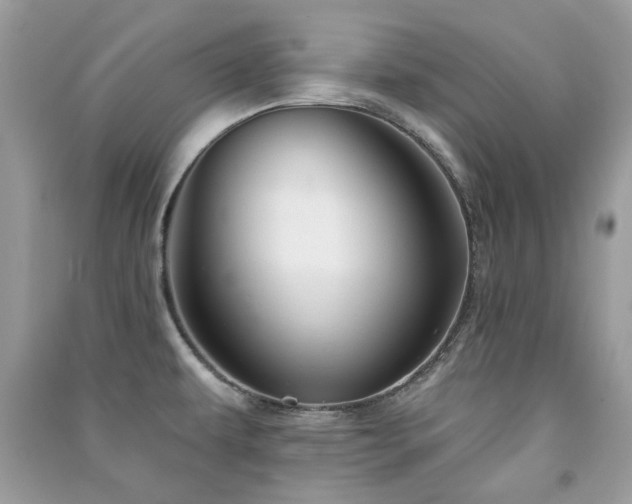 X0000091371479200708101522