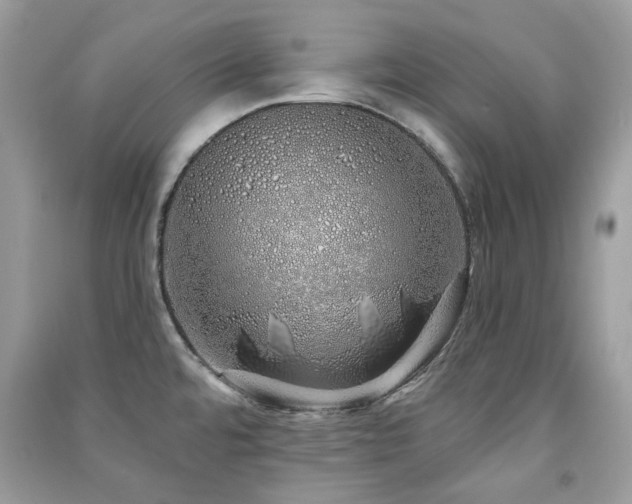 X0000091371480200708101522