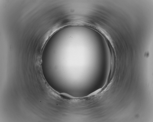 X0000091371481200708101522