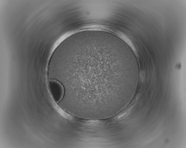 X0000091371482200708101522
