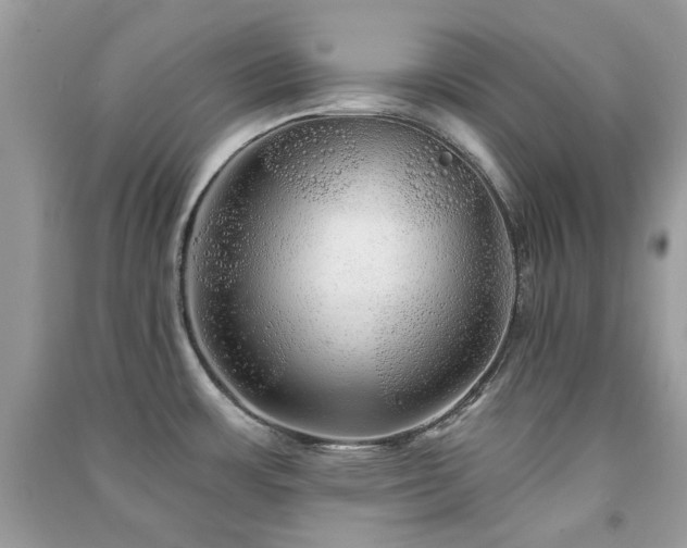 X0000091371483200708101522