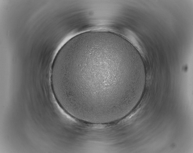 X0000091371484200708101521