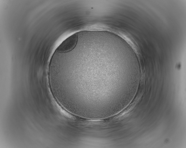 X0000091371486200708101521