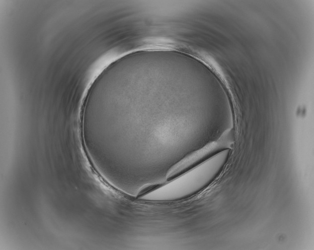 X0000091371488200708101521