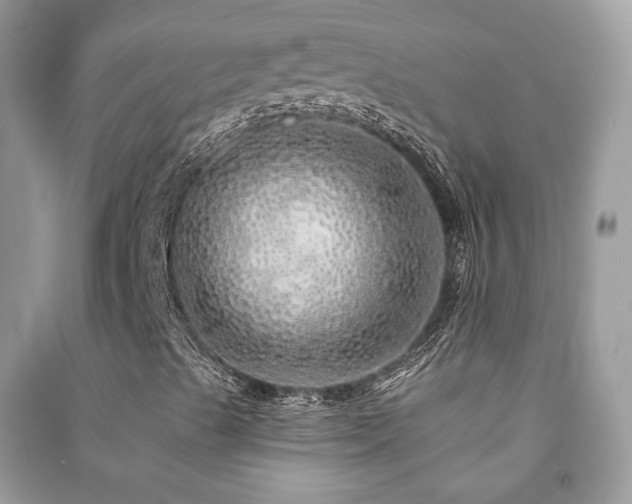 X0000091371489200708101521