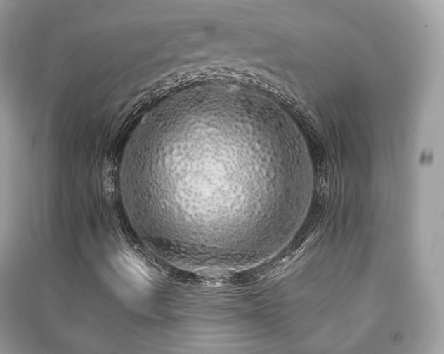 X0000091371490200708101521