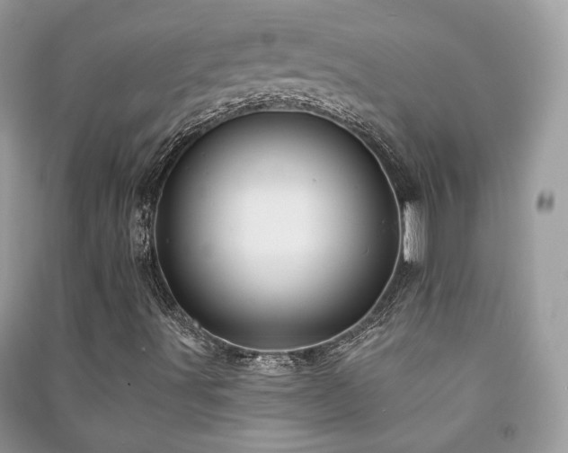 X0000091371491200708101521