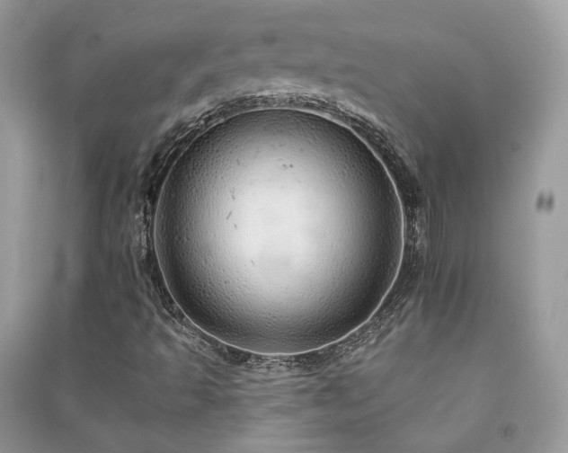 X0000091371493200708101521