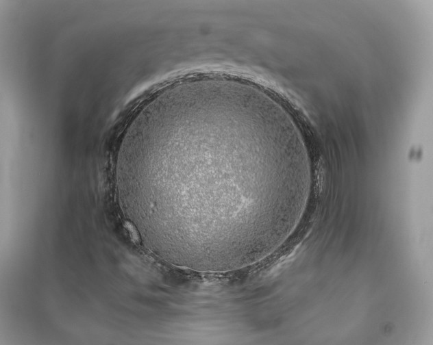 X0000091371494200708101521