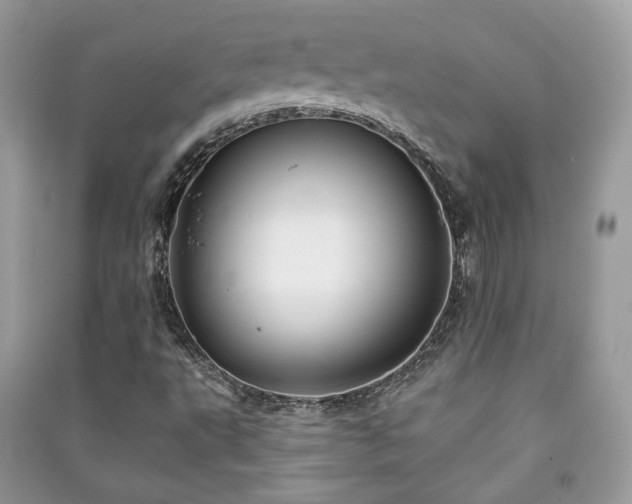 X0000091371495200708101521