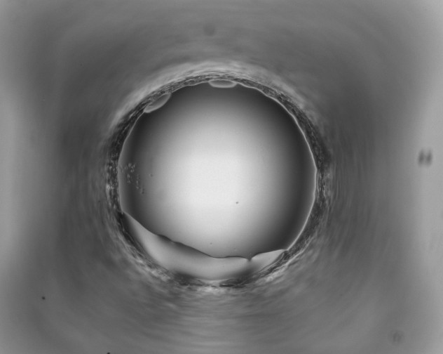 X0000091371496200708101521