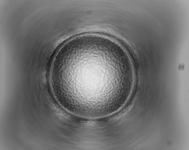 X0000091371497200708101521