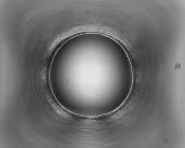 X0000091371499200708101521