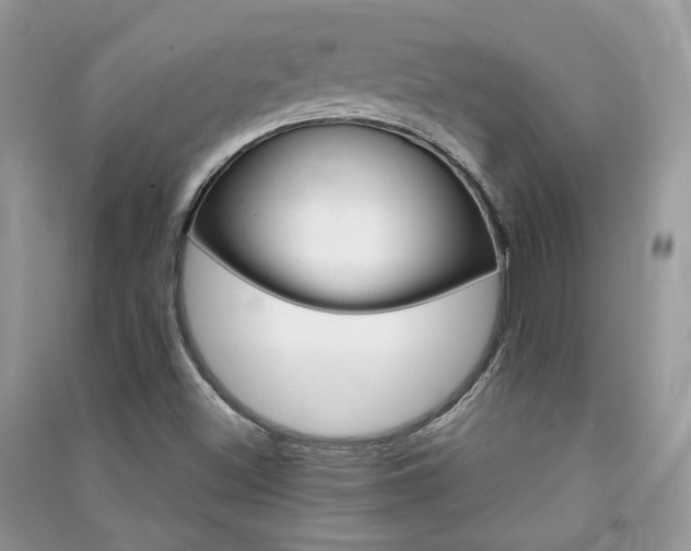 X0000091371500200708101521