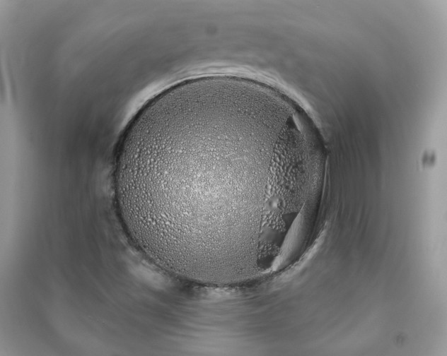 X0000091371501200708101521