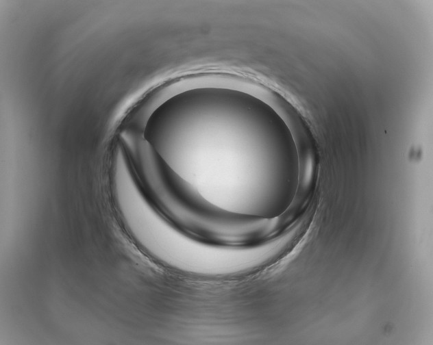 X0000091371502200708101521