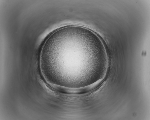 X0000091371503200708101521