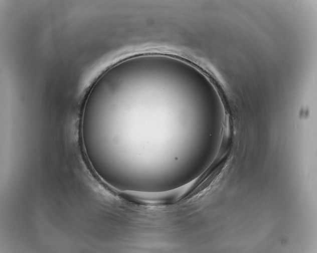 X0000091371504200708101521