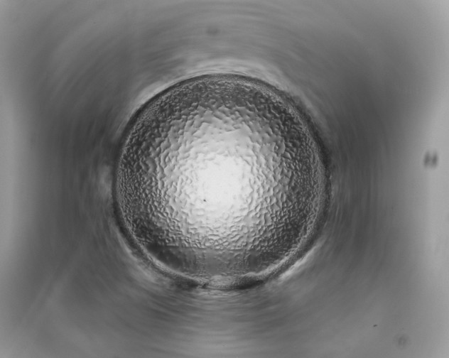 X0000091371505200708101521