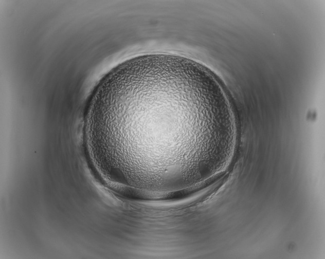 X0000091371507200708101521