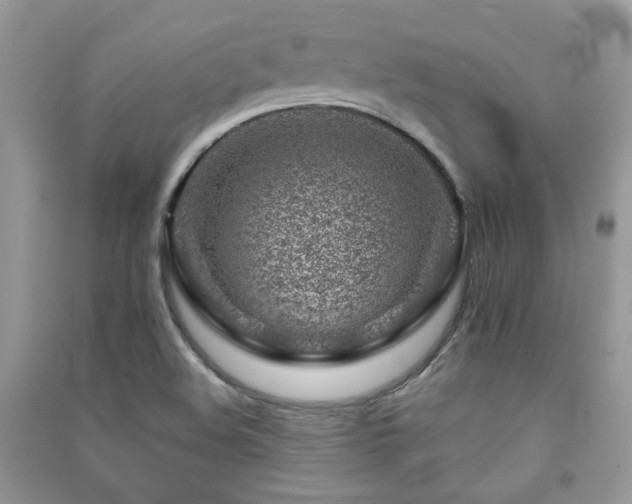 X0000091371508200708101521
