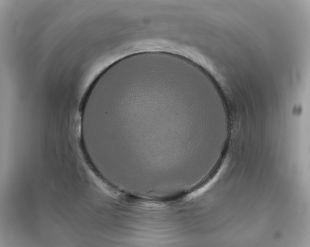 X0000091371509200708101521