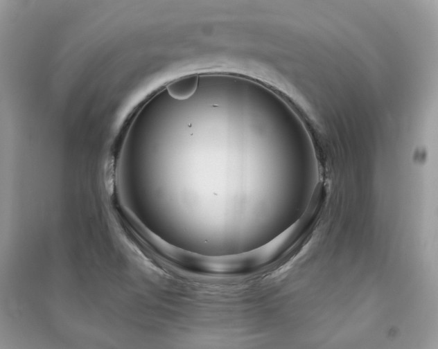 X0000091371510200708101521