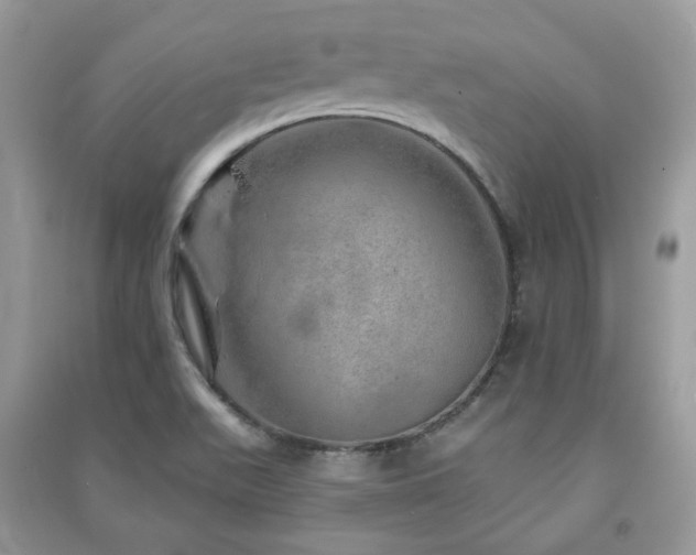 X0000091371511200708101521