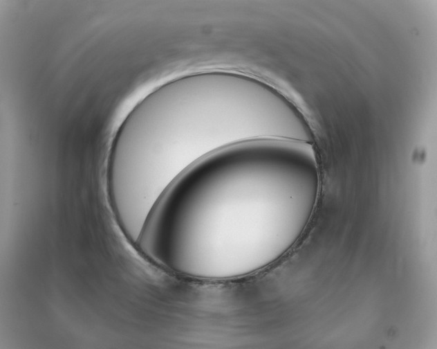 X0000091371512200708101521