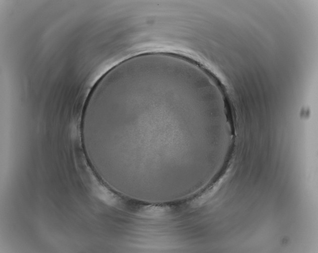 X0000091371513200708101521