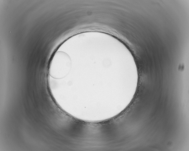 X0000091371514200708101521